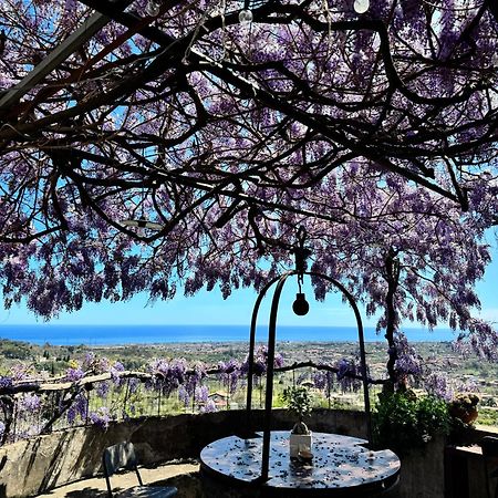 ジャッレ Il Noceto Dell'Etna Bed & Breakfast エクステリア 写真