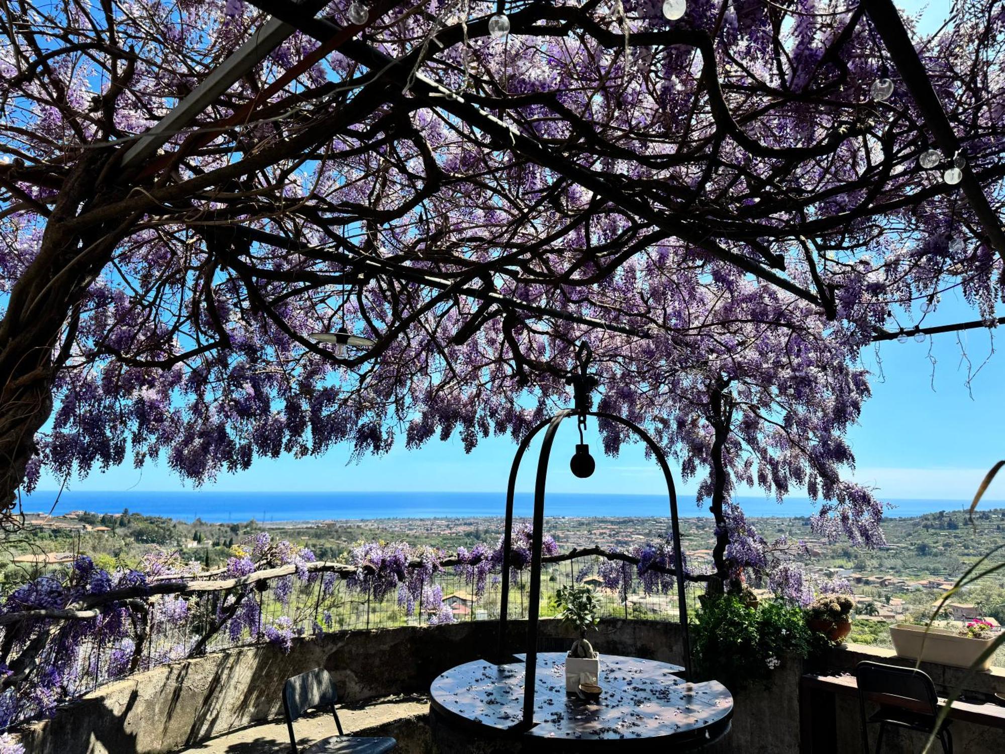 ジャッレ Il Noceto Dell'Etna Bed & Breakfast エクステリア 写真